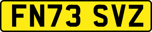 FN73SVZ