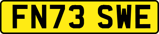 FN73SWE