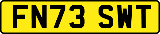 FN73SWT