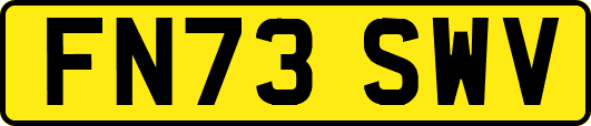 FN73SWV