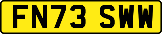 FN73SWW