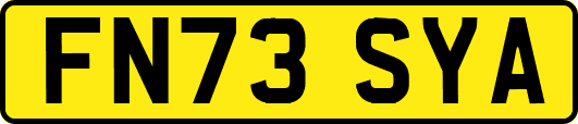 FN73SYA