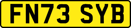 FN73SYB