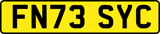 FN73SYC