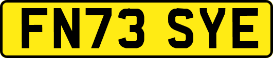 FN73SYE