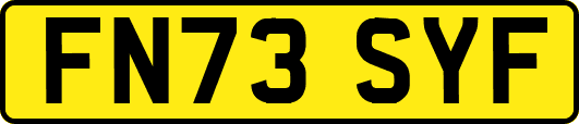 FN73SYF