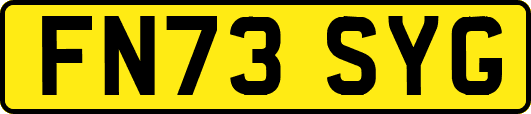 FN73SYG