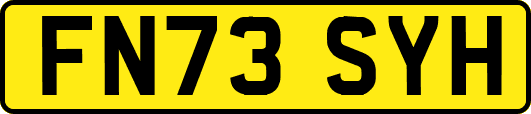 FN73SYH