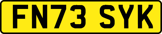 FN73SYK