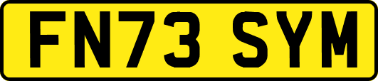 FN73SYM