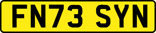 FN73SYN