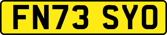 FN73SYO