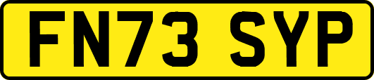 FN73SYP