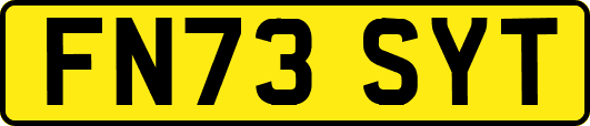 FN73SYT