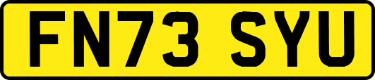 FN73SYU