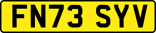 FN73SYV