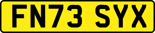 FN73SYX
