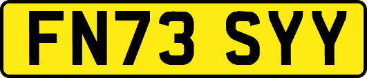FN73SYY