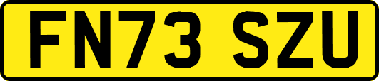 FN73SZU