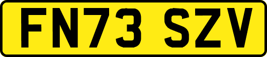 FN73SZV