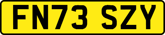 FN73SZY