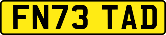 FN73TAD