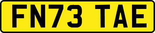 FN73TAE