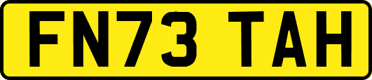 FN73TAH