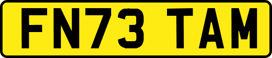 FN73TAM