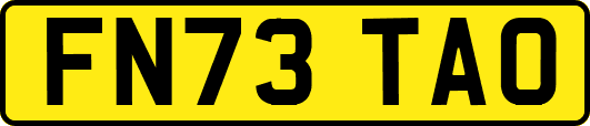 FN73TAO