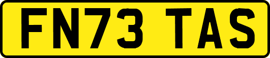 FN73TAS