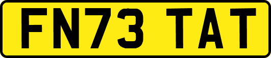 FN73TAT