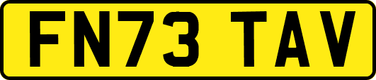 FN73TAV