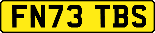 FN73TBS