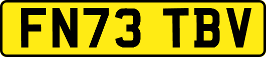 FN73TBV