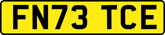 FN73TCE