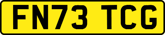 FN73TCG