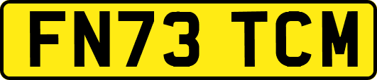 FN73TCM