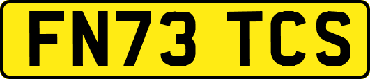 FN73TCS