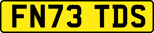 FN73TDS