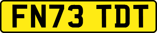 FN73TDT