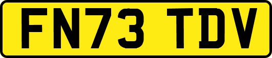 FN73TDV