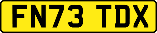 FN73TDX