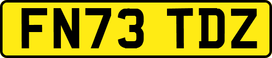 FN73TDZ