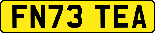FN73TEA