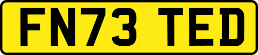 FN73TED