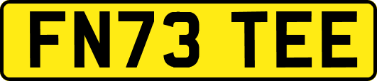 FN73TEE