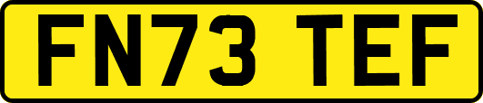 FN73TEF