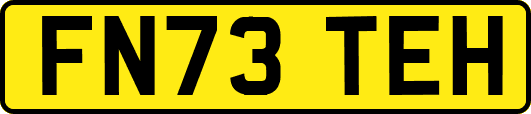 FN73TEH