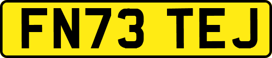 FN73TEJ